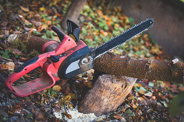 Leaf Removal in Long Lake, MN